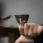 50ml japanese style kiln change ceramic tea cup full view