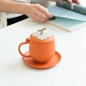 Full set of orange persimmon ceramic tea infuser mug with lid, infuser and saucer