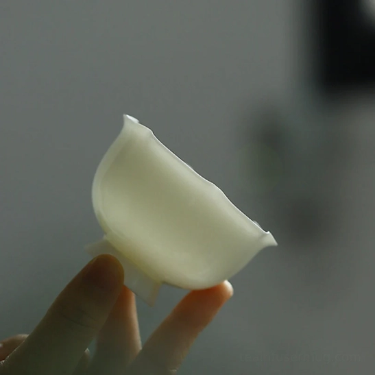 translucent white porcelain chinese tea cup held in hand showing thin wall texture