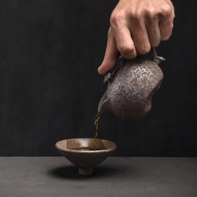 220ml rust glaze ceramic teapot on neutral background whole product view